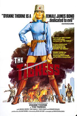 柳州正规seo优化网